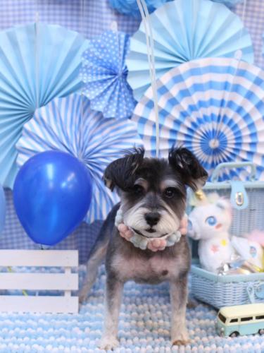 20231123クロムくん